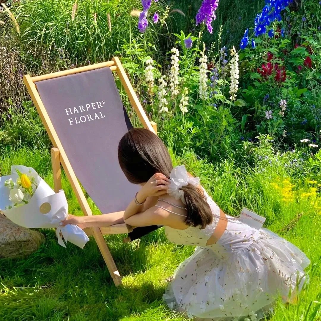 金光御九界之墨邪录